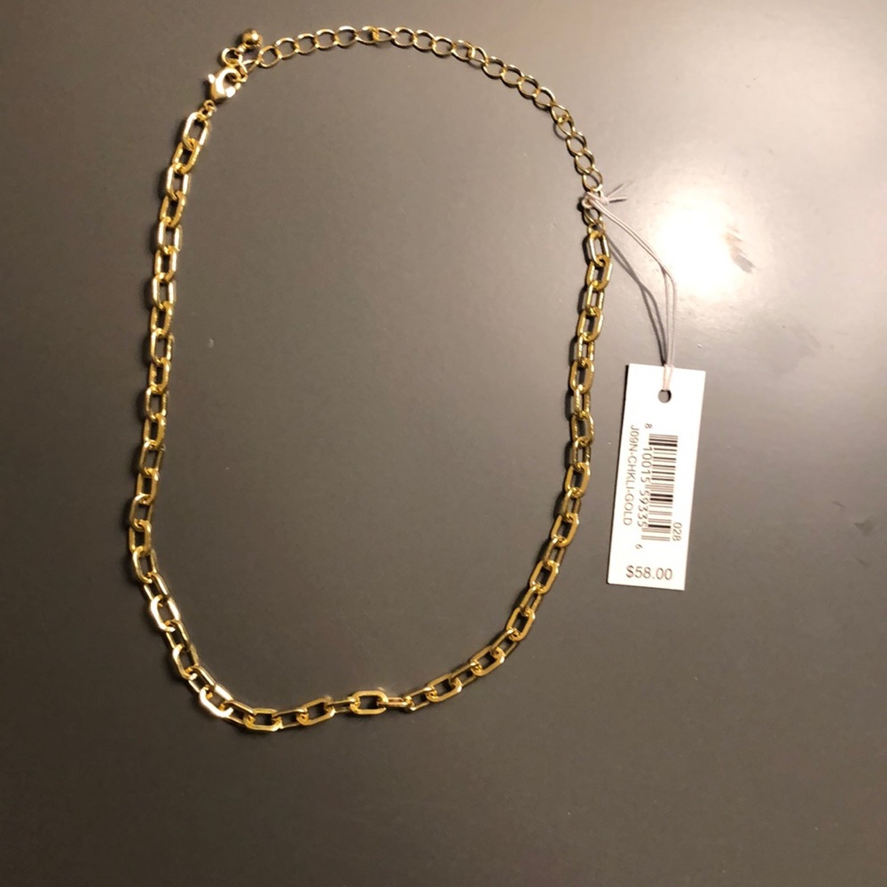NWT Uncommon James Gold Chain Necklace